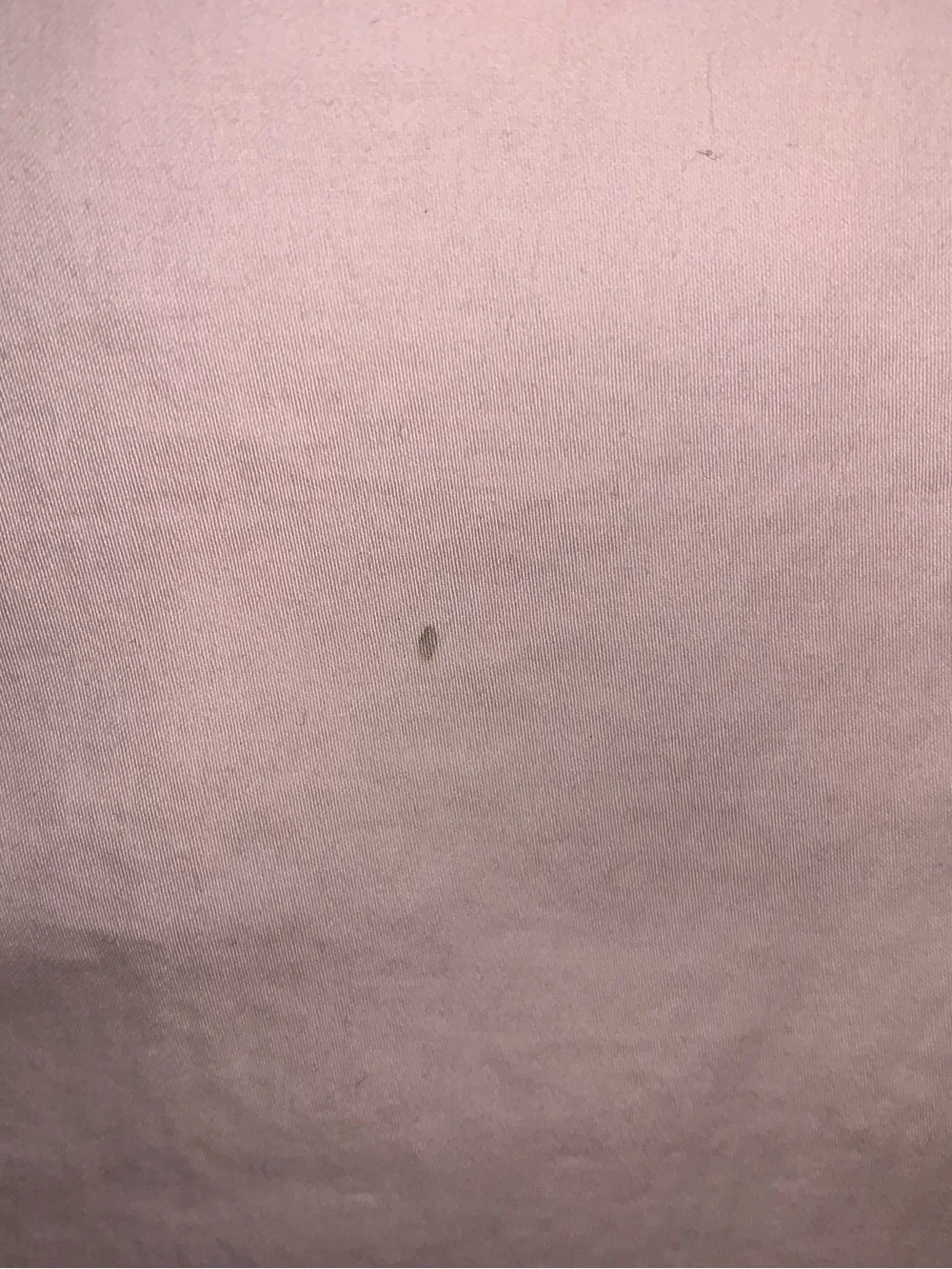 Magnolia Pale Pink Blush Organic Cotton Sheet